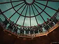 the dovecote glass roof