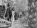 bride and groom in the Palm Grove