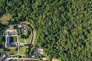 aerial view of the chateau forest