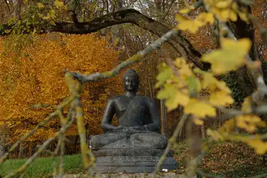 Bouddha dans la forêt du château